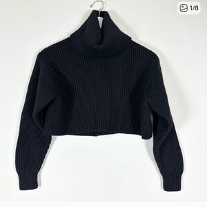Aritzia Babaton Turtleneck Ribbed Knit Sweater cropped